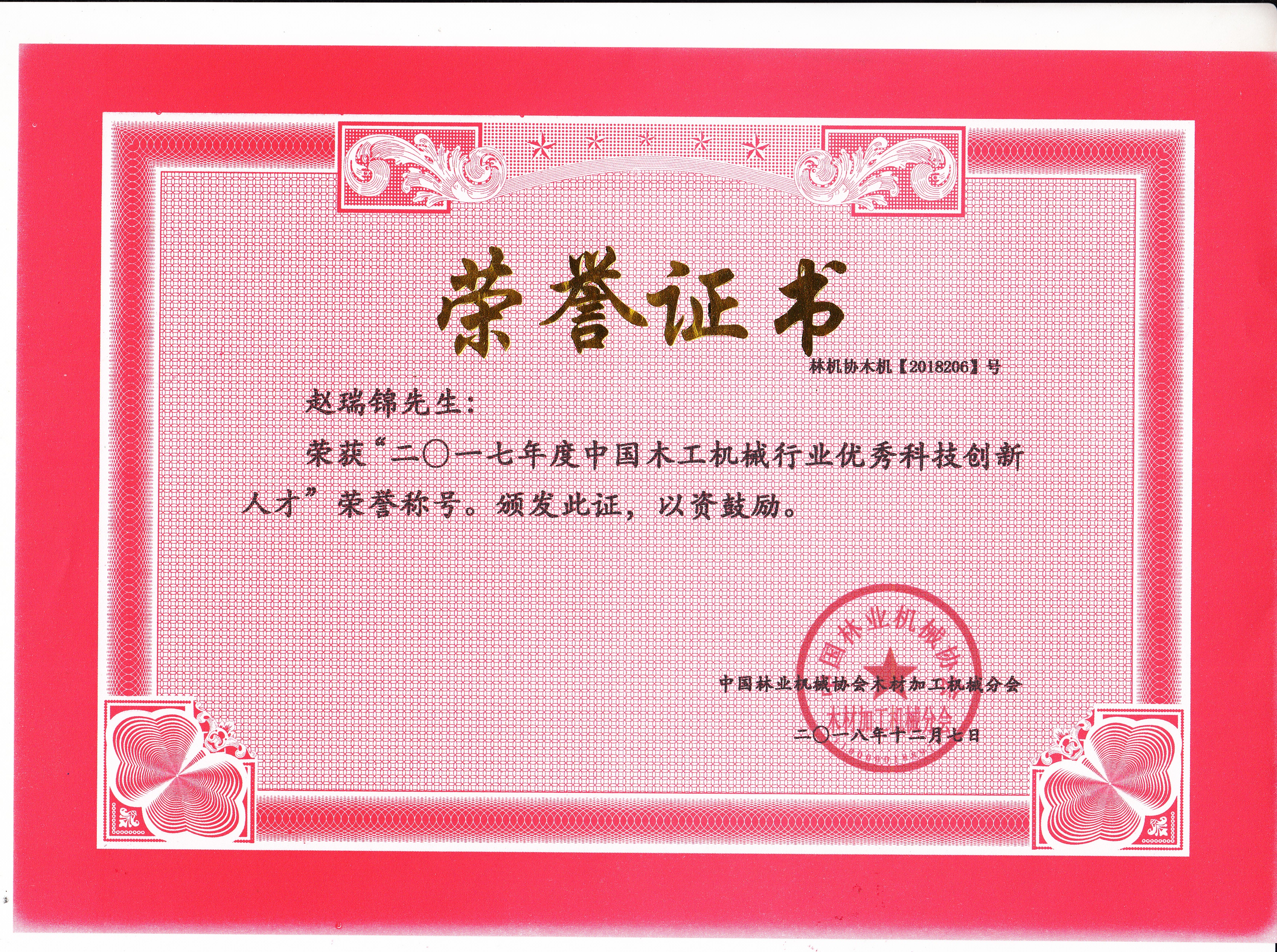 中国乐玩体育工机械行业优秀科技创新人才2017年度